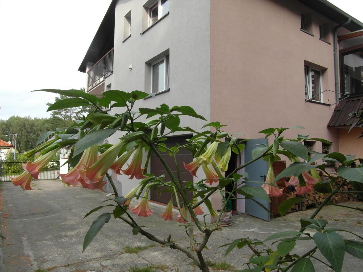 Villa Banita Ustka Exterior foto