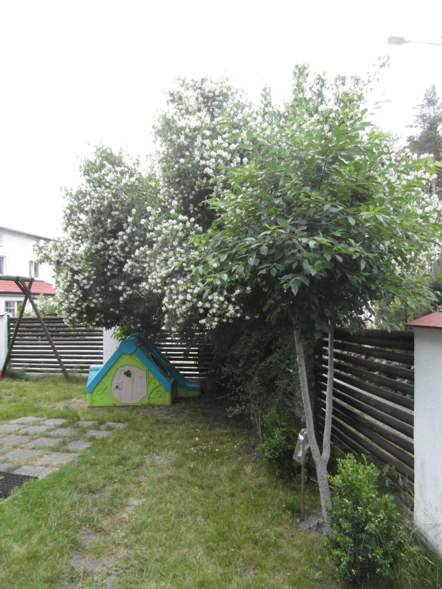 Villa Banita Ustka Exterior foto