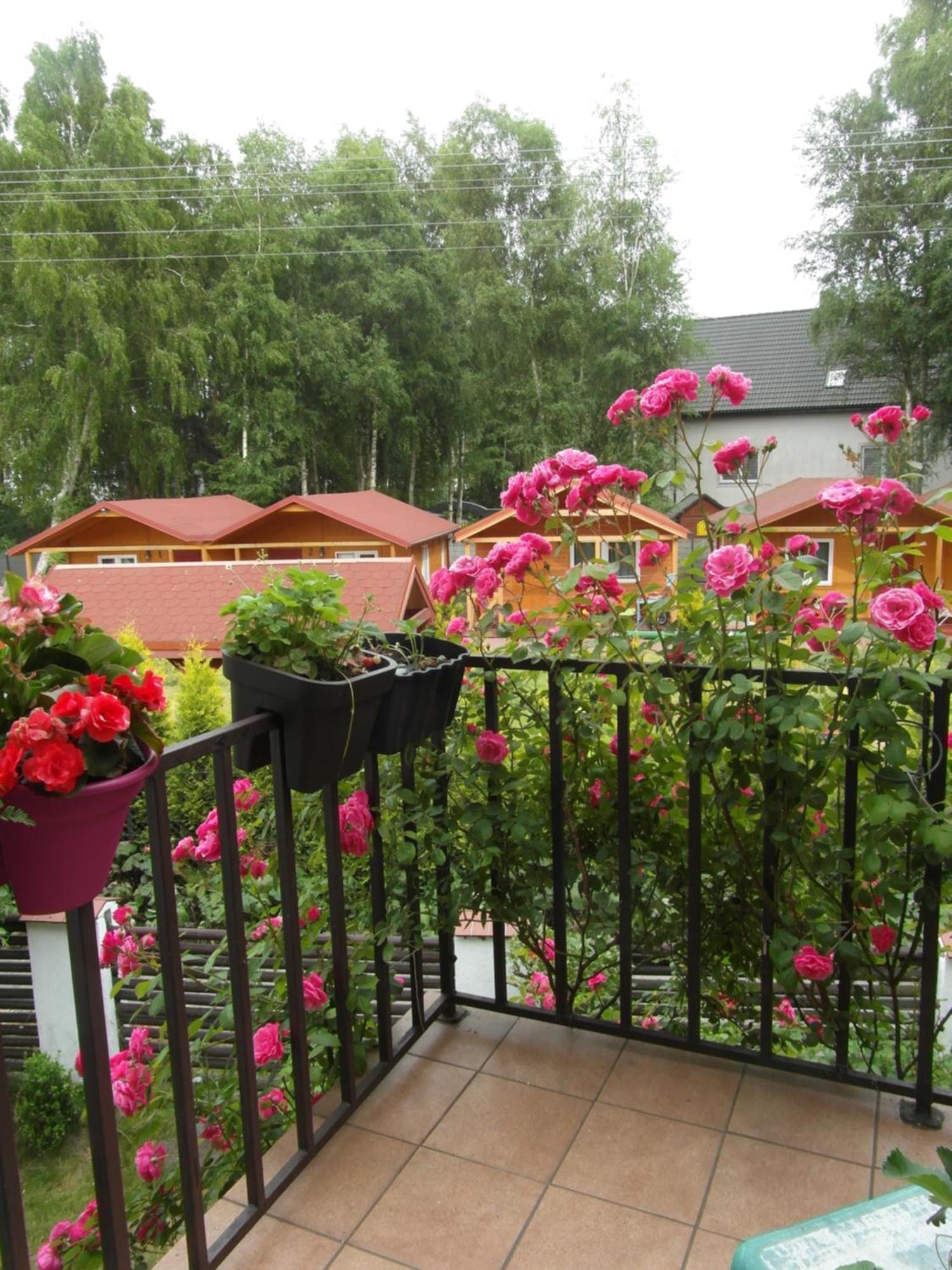 Villa Banita Ustka Exterior foto